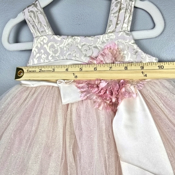 CHANTILLY PLACE Tool Flower Formal Dress Champagne Blush Baby Girl Sz 18 Months - Picture 11 of 12